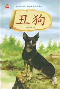 书籍 丑狗的封面