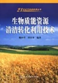 生物质能资源清洁转化利用技术/21世纪可持续能源丛书