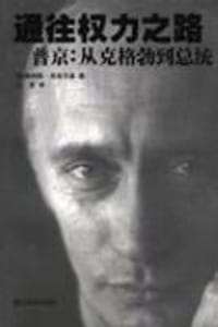 书籍 职高气扬的封面