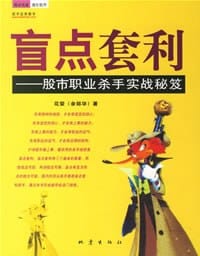 书籍 盲点套利的封面