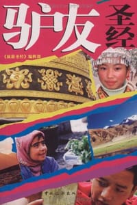 驴友圣经