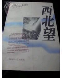书籍 西北望的封面