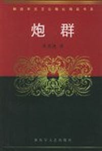 书籍 炮群的封面