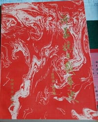 沂蒙抗日战争史
