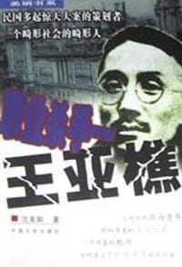 书籍 职业杀手王亚樵的封面