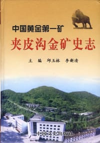 夹皮沟皮金矿史志