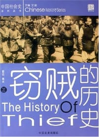 书籍 窃贼的历史的封面