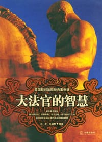 书籍 大法官的智慧的封面