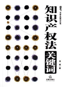 书籍 知识产权法关键词的封面