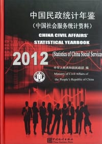 书籍 中国民政统计年鉴的封面