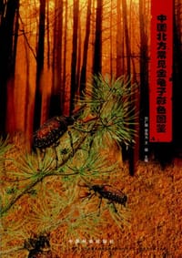 书籍 中国北方常见金龟子彩色图鉴的封面