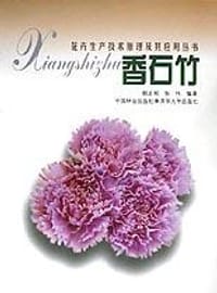 香石竹 - 郭志刚