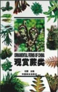 观赏蕨类