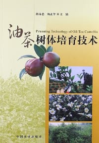 油茶树体培育技术