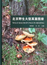 北京野生大型真菌图册