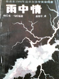 书籍 雨中情的封面