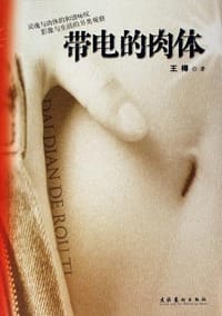 书籍 带电的肉体的封面