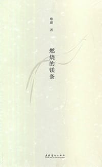 燃烧的镁条