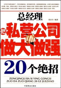 书籍 总经理把私营公司做大做强20个绝招的封面