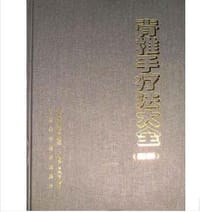 书籍 脊椎手疗法大全的封面