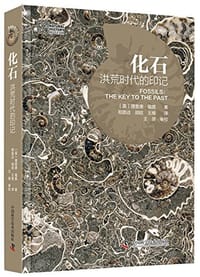 化石