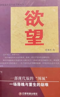 新锐派小说作家方阵丛书：欲望 - 肖林军