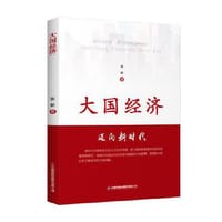 书籍 大国经济的封面