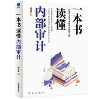 书籍 一本书读懂内部审计（故事化呈现企业内部审计工作流程与实操知识）的封面