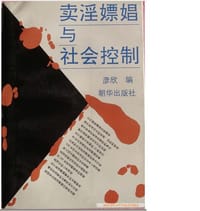 卖淫嫖娼与社会控制