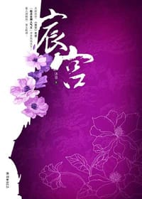 书籍 宸宫（上下）的封面