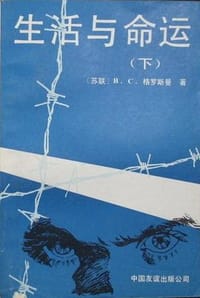 生活与命运（上下） - (苏)В.С.格罗斯曼