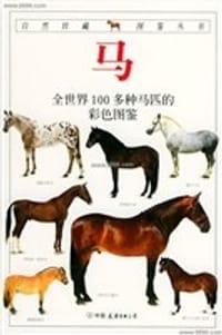 书籍 马的封面
