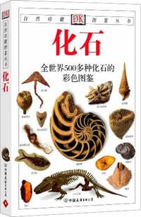 书籍 化石的封面