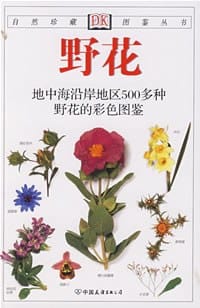 书籍 野花的封面
