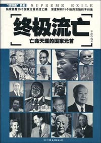书籍 终极流亡的封面