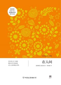 书籍 在人间的封面