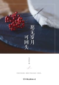 书籍 《愿无岁月可回首》的封面