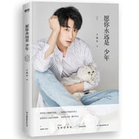 书籍 愿你永远是少年的封面