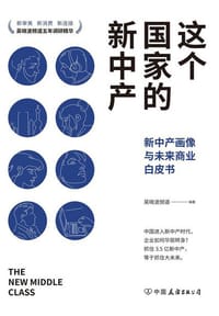 书籍 这个国家的新中产的封面