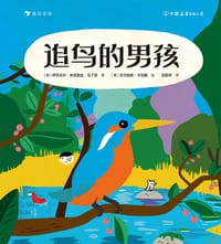 追鸟的男孩 - [葡] 伊莎贝尔·米尼奥丝·马丁斯 著