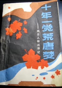 十年一觉荒唐梦