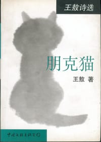 朋克猫 - 王敖