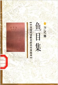 书籍 鱼目集的封面