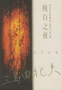 书籍 纯白之夜的封面