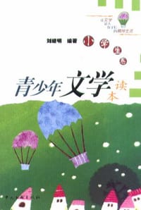 书籍 青少年文学读本的封面