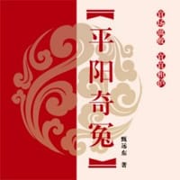 平阳奇冤 - 无名图书