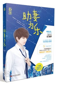 书籍 助妻为乐的封面