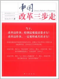 书籍 中国改革三步走的封面