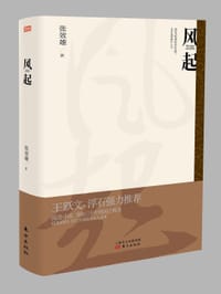书籍 风起的封面