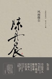书籍 风雨微尘的封面